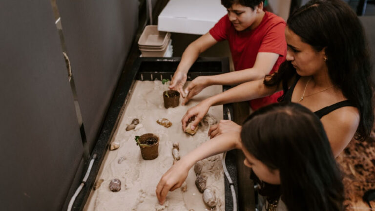 BELL MUSEUM | Explore Bell Field Trips This Fall